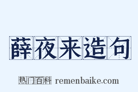 薛夜来造句是什么意思的图片